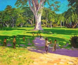 Cricket Match, Botanical Gardens, Dominica, Grenadines, 2011